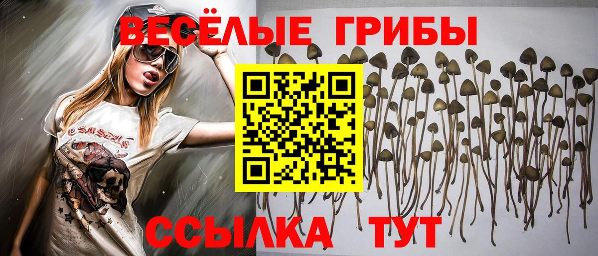 Галлюциногенные грибы MAGIC MUSHROOMS  Вход с VPN  Галлюциногенные грибы Magic Shrooms  Родники 