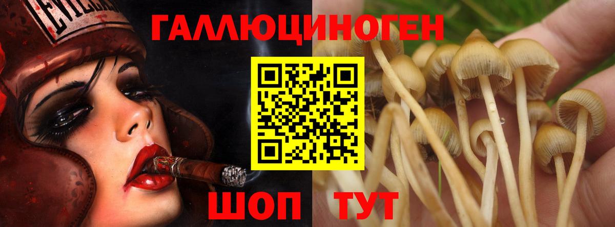 Галлюциногенные грибы Magic Shrooms Родники